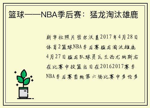 篮球——NBA季后赛：猛龙淘汰雄鹿